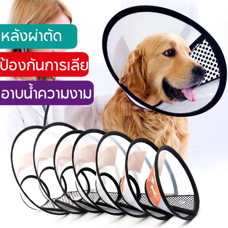 🐱พร้อมส่งจ้🐶 ปลอกคอกันเลีย ปลอกคอแมว ปลอกคอสัตว์เลี้ยง ปลอกคอสุนัข หลายขนาด