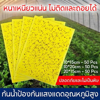 แผ่นกาวดักแมลง (มีกาวในตัว) มีให้เลือกหลายขนาด แพ็คละ 50 แผ่น กับดักแมลงกินผัก ดักแมลงศัตรูพืช กาวดักแมลงวันทอง