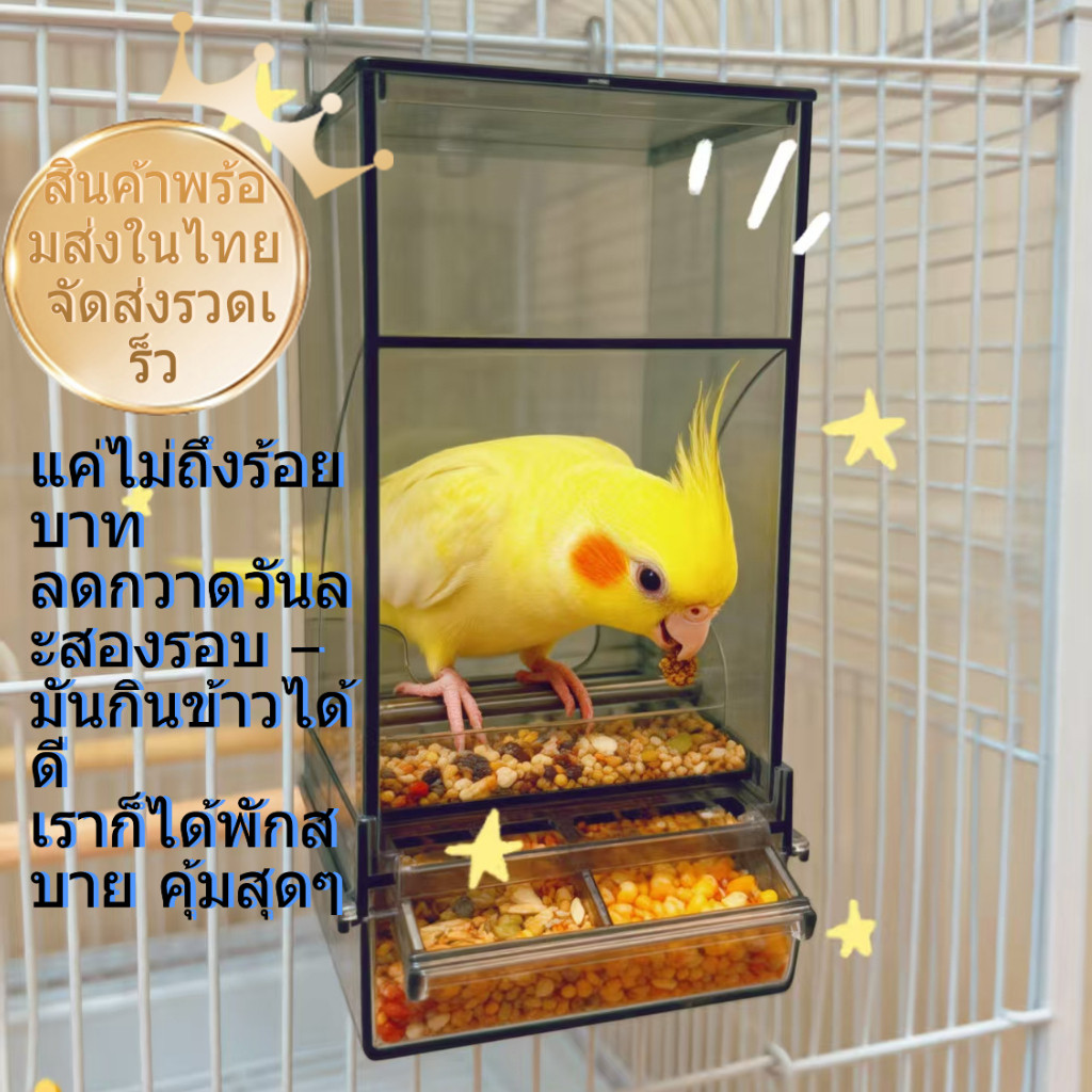 นกแก้วไม่คุ้ยอาหารอีกต่อไป! เครื่องให้อาหารแขวนอัตโนมัติ ป้องกันหก+สะดวกสบาย ใช้ได้กับนกหงส์หยก/เลิฟเบิร์ด/ค็อกคาเทล