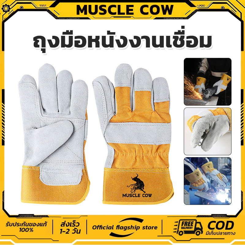 ถุงมือหนังงานเชื่อม 10.5" และ13" Muscle Cow ทำจากหนังวัวชั้นที่ 2 ทั้งชิ้น เบาและสามารถระบายอากาศได้ดี