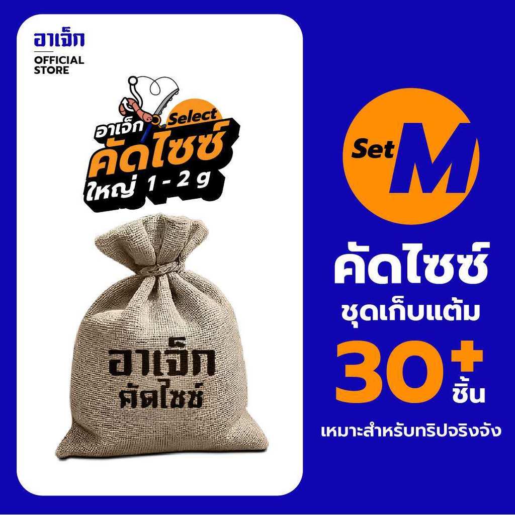 คัดไซซ์ | ชุด L 50 ตัว อาเจ็ก ไส้เดือนตกปลา