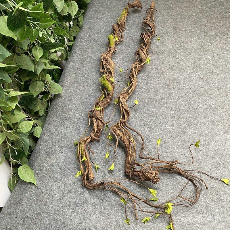 หยาบ Sprout ดอกไม้ Vines สาขา Dead Vines สวนภูมิทัศน์ Vines ตกแต่งภูมิทัศน์โฟมสาขาหวายศิลปะจําลอง Mo