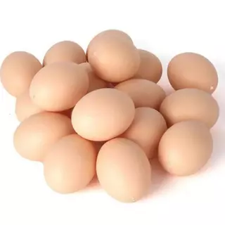 ไข่ปลอม ไข่ไก่ปลอม 5 ฟอง อุปกรณ์เลี้ยงไก่ พลาสติก เหมาะสำหรับรังไก่
