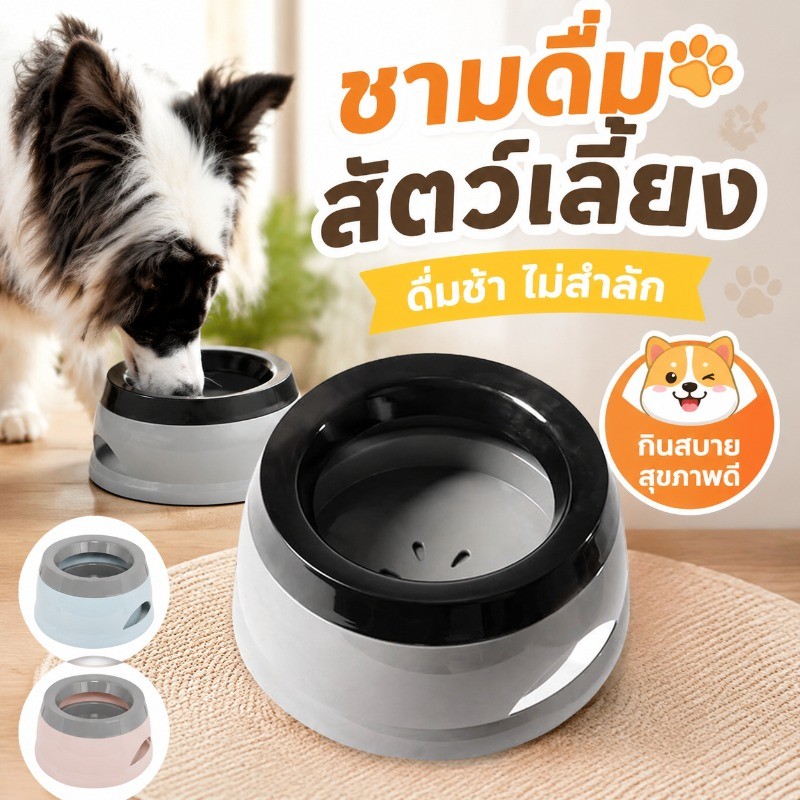 ชามแมว ชามให้น้ำกันหก บนรถ ไม่หก ถาดลอย กันเศษอาหารลง