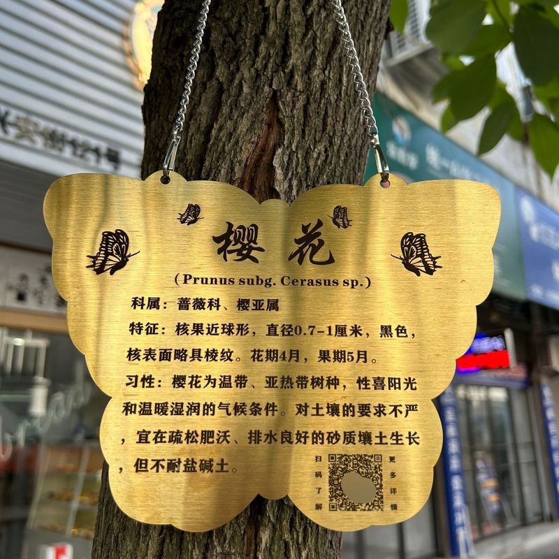 【现货】树牌挂牌不锈钢刻字景区树名标识牌花草标识牌树木介绍悬挂吊Flower and grass signs, acrylic tree signs, green signage, tree intr
