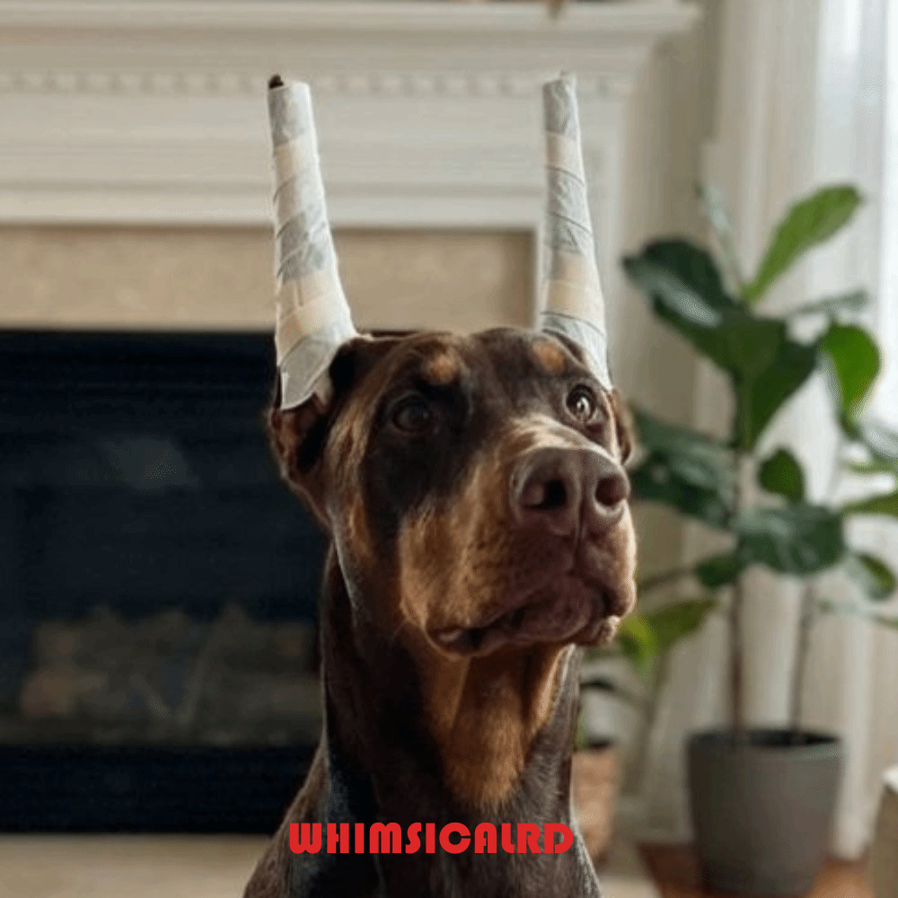 WHIMSIMSICALRD 10 ชิ้นสุนัขหู Stand Up เครื่องมือ, แท่งโฟมนุ่ม Fast Ear Erecting Ear Standing Support, ป้องกันหูพับไม่รุกราน Breathable Ear Erecting Stick สัตว์เลี้ยงกรูมมิ่ง