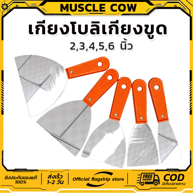 Muscle Cow เกียงโป๊วสี เกียงขูด เกียง สแตนเลส ปัดเงา เกรดพรีเมี่ยม 2”, 3”, 4”,5” 6” เกียงโป้วสี เกียง เกรียง เกียงโป้วสี