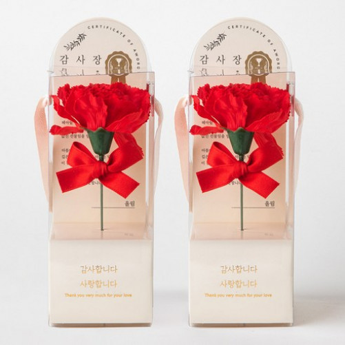 Beautiful Deco Sense Single Soap Flower Appreciation Card Carnation 2-Piece Set, Red, 1 Piece