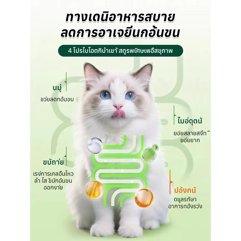 🎯สินค้าขายดี🎯 【แมว/ขน】 อาหารเสริมแมว ช่วยลดปัญหาก้อนขนในแมว ช่วยย่อยอาหาร มีคุณค่าทางโภชนาการสูง เหมาะสำหรับแมวทุกสายพันธุ์และทุกช่วงวัย 🚨พร้อมส่ง🚨 thumbnail 4