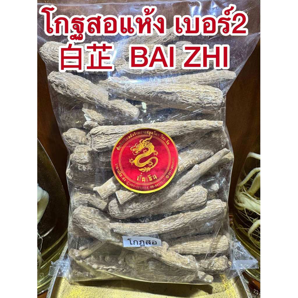 โกฐสอแห้ง 白芷 เบอร์2 โกฏสอ โกฐสอ โกฐสอเส้นขนาดกลาง คัดไซส์ขนาดกลางๆ