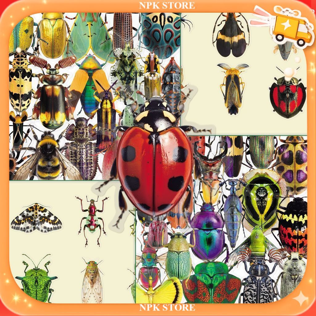 🔥🇹🇭พร้อมส่ง🇹🇭🔥50แบบ Sticker โปร่งใส -Pet- แมลงปีกแข็ง  ผีเสื้อกลางคืน เต่าทอง Transparent Cartoon Animal Insect beatle