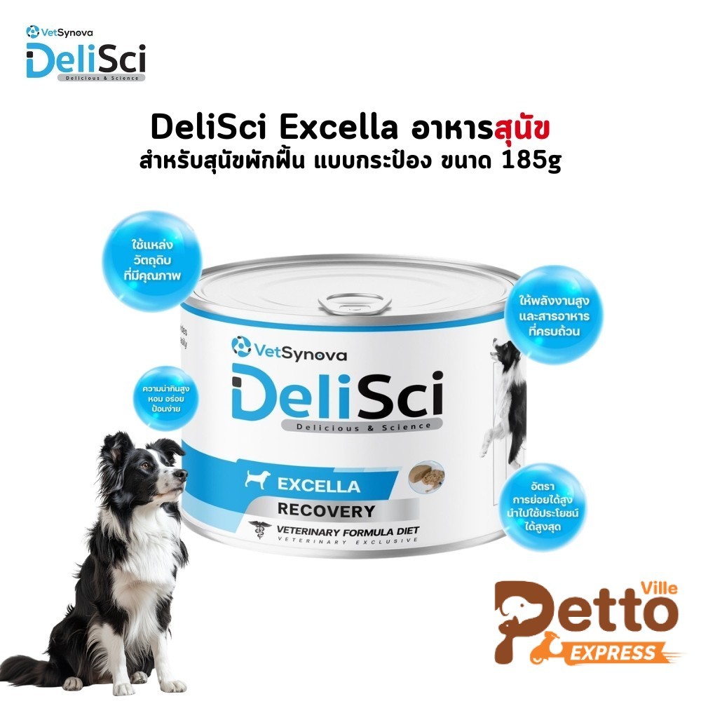 DeliSci Excella อาหารฟื้นฟูสําหรับสุนัขป่วย พักฟื้นหลังการผ่าตัด ที่ต้องการพลังงานสูง แบบกระป๋อง ขนาด 185 กรัม
