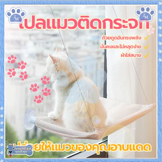 เปลแมวติดกระจก เตียงแมว เบาะแมว ขนาดใหญ่ 55x35ซม รับน้ำหนักได้ถึง 20 kg ถ้วยดูดที่มีประสิทธิภาพ มั่นคงและไม่หลุดง่าย