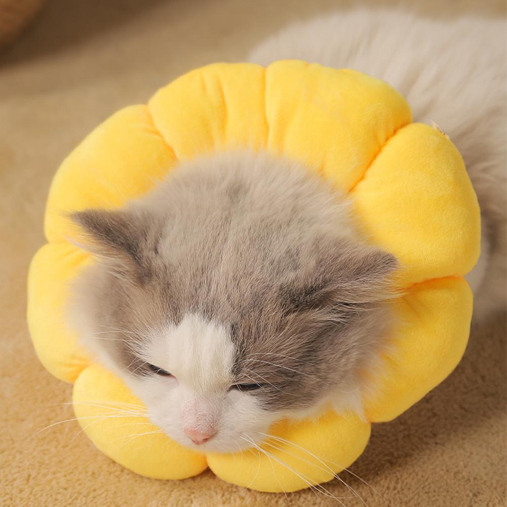 Elizabeth Ring Cat ปลอกคอฆ่าเชื้อ Anti-bite Anti-licking Collar Head สุนัขผ้าพันคอ Cat F0e1