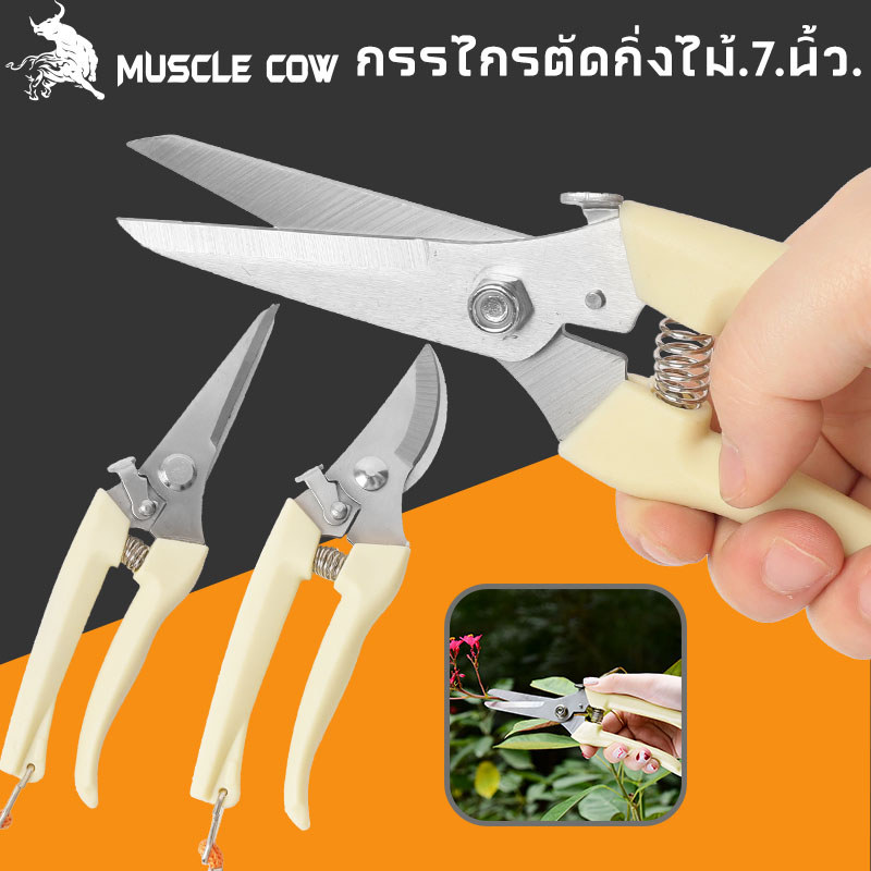 MUSCLE COW กรรไกรตัดโลหะ กรรไกรตัดกิ่งไม้สแตนเลส ใบมีดคม ใช้งานสะดวก