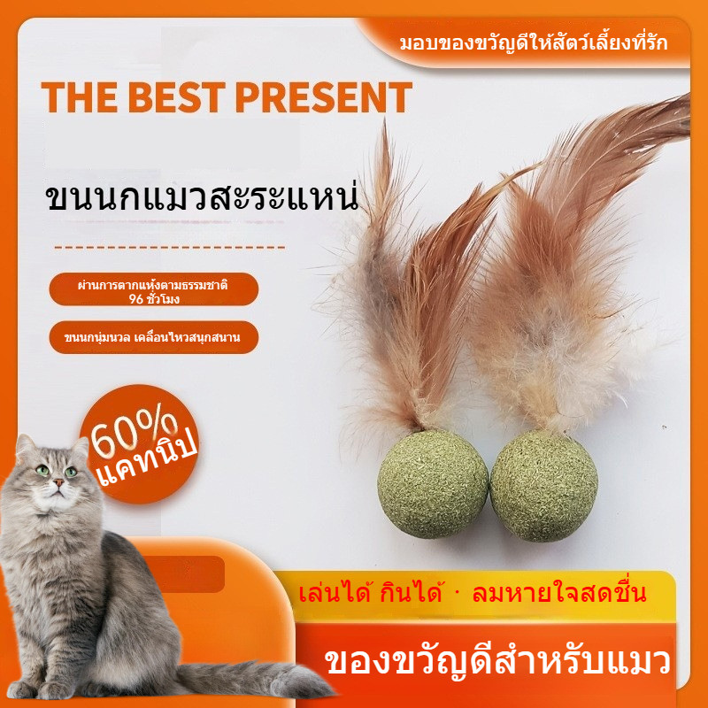 ลูกบอลแมทนิพติดขนนก รุ่นใหม่ 😺ของเล่นลูกบอลขนแมว ✨ช่วยขัดฟัน ผสมส่วนผสมหญ้าแมวธรรมชาติ หญ้าแมวทานเล่น คลายเบื่อได้ดี