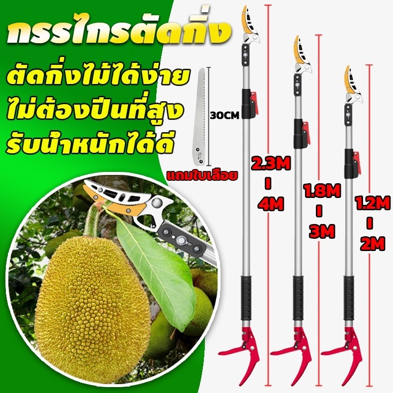 【รับประกัน 5 ปี】กรรไกรตัดกิ่ง ยืดไสลด์ 1.5M-4M อุปกรณ์ตัดแต่งกิ่งมืออาชีพ กรรไกรตัดกิ่งด้ามยาว กรรไกรตัดกิ่งไม้
