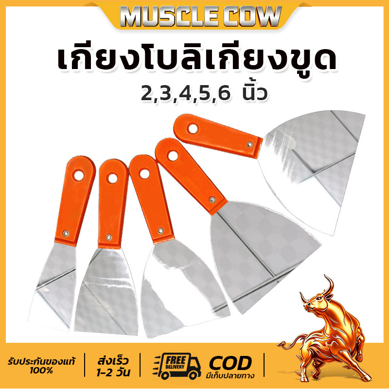 Muscle Cow เกียงโป๊วสี เกียงขูด เกียง สแตนเลส ปัดเงา เกรดพรีเมี่ยม 2”, 3”, 4”,5” 6” เกียงโป้วสี เกียง เกรียง เกียงโป้วสี