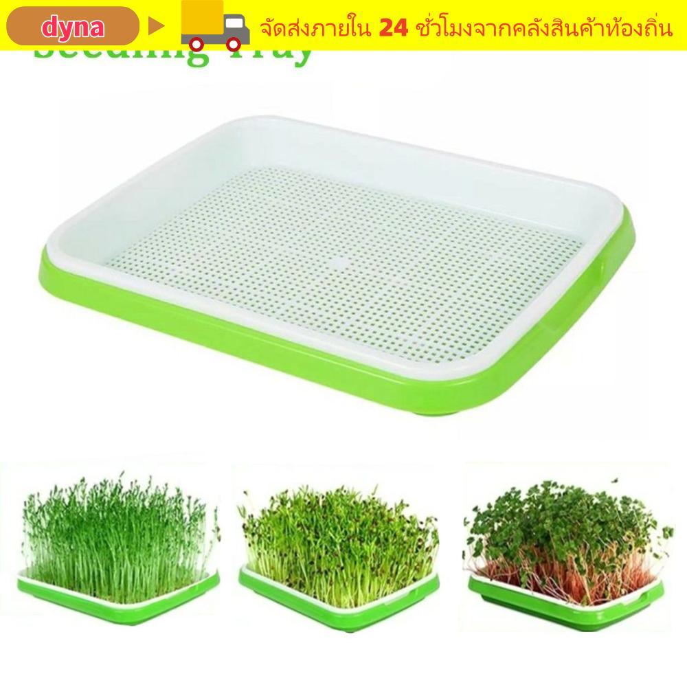 DYNA Grow Nursery Pots Home Garden Hydroponic ถาด Soilless Cultivation Sprout Pot