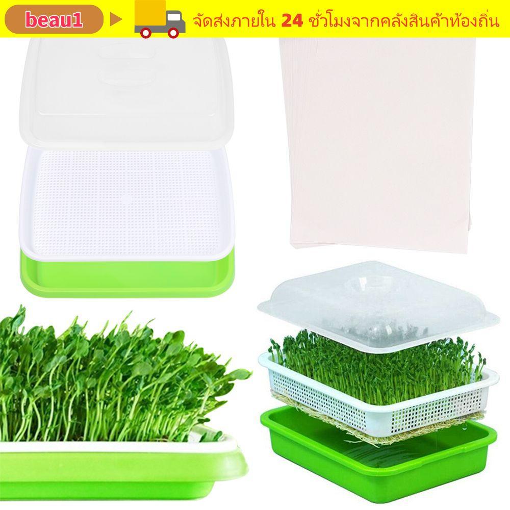 BEAU1 Grow Nursery Pots Gardening Supplies ถาด Hydroponic Nursery Paper Sprout Pot