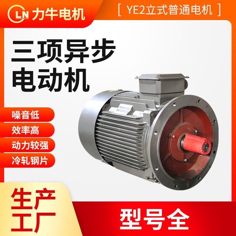สามPhase Abnormal Step Motor YE2-100L2-4-3 High-Efficiency Energy-Saving Three-Phase Mo