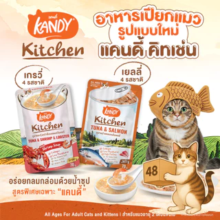(ยกลัง 48 ซอง) Kandy Kitchen แคนดี้ คิทเช่น อาหารเปียกแมว เนื้อแน่น หอมซุป สำหรับแมวทุกวัย เปียกแมว