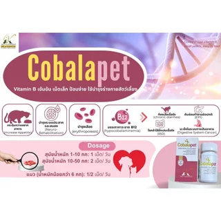Cobalapet [แท้💯] อาหารเสริม Vitamin B12 และ B9 เข้มข้น บำรุงระบบประสาทและร่างกาย สำหรับสุนัขและแมว (30 เม็ด)