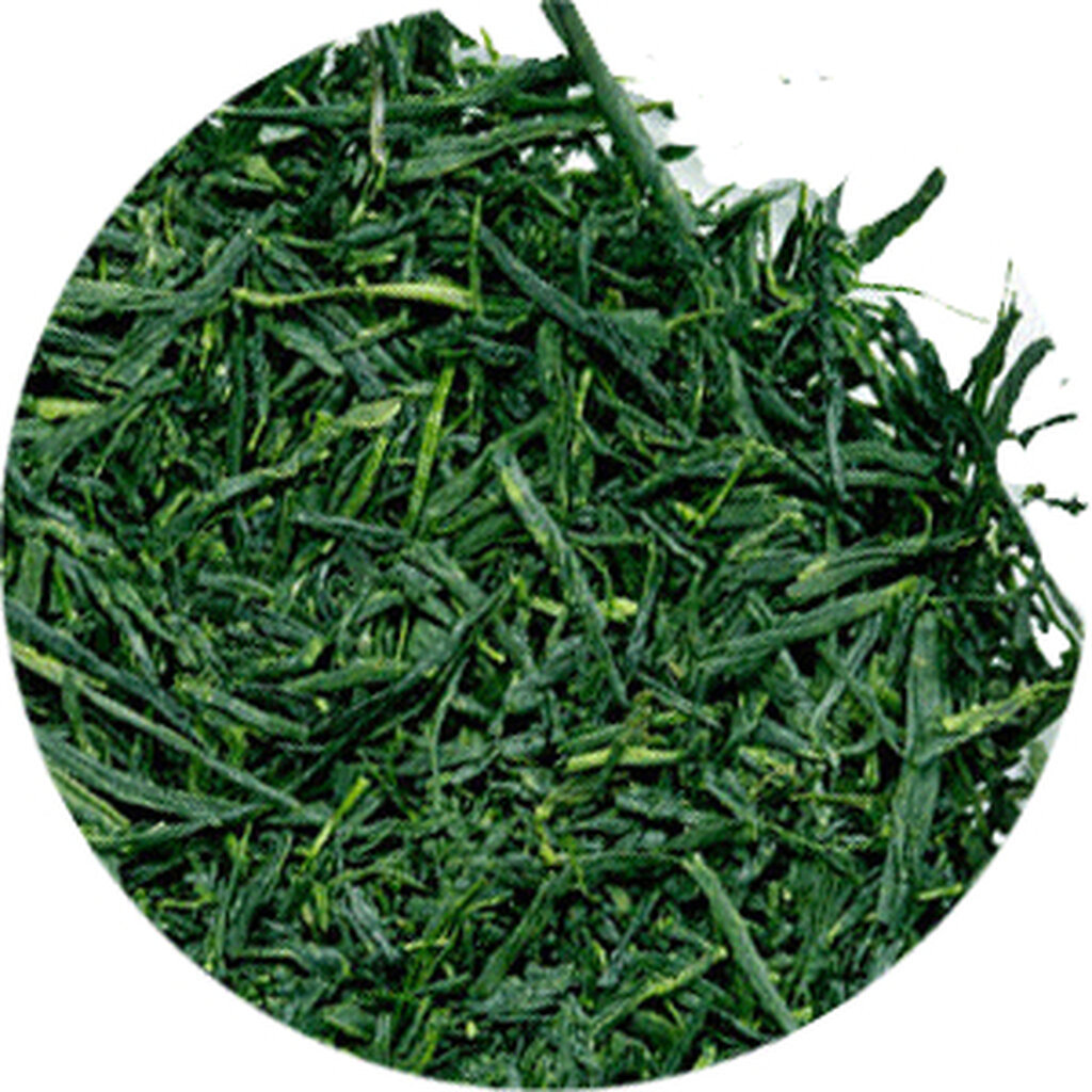Gyokuro : เกียวคุโระ ชาเขียวญี่ปุ่น สายพันธุ์ Tsuyuhikari 50 gram