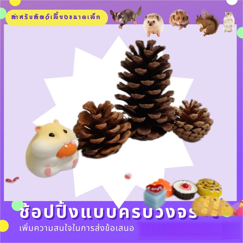 [sooangell]ลูกสนสำหรับแฮมสเตอร์ ของเล่นเคี้ยวเล่น อุปกรณ์จัดสวน เหมาะสำหรับสัตว์เลี้ยงขนาดเล็ก เช่น กระรอกและแฮมสเตอร์