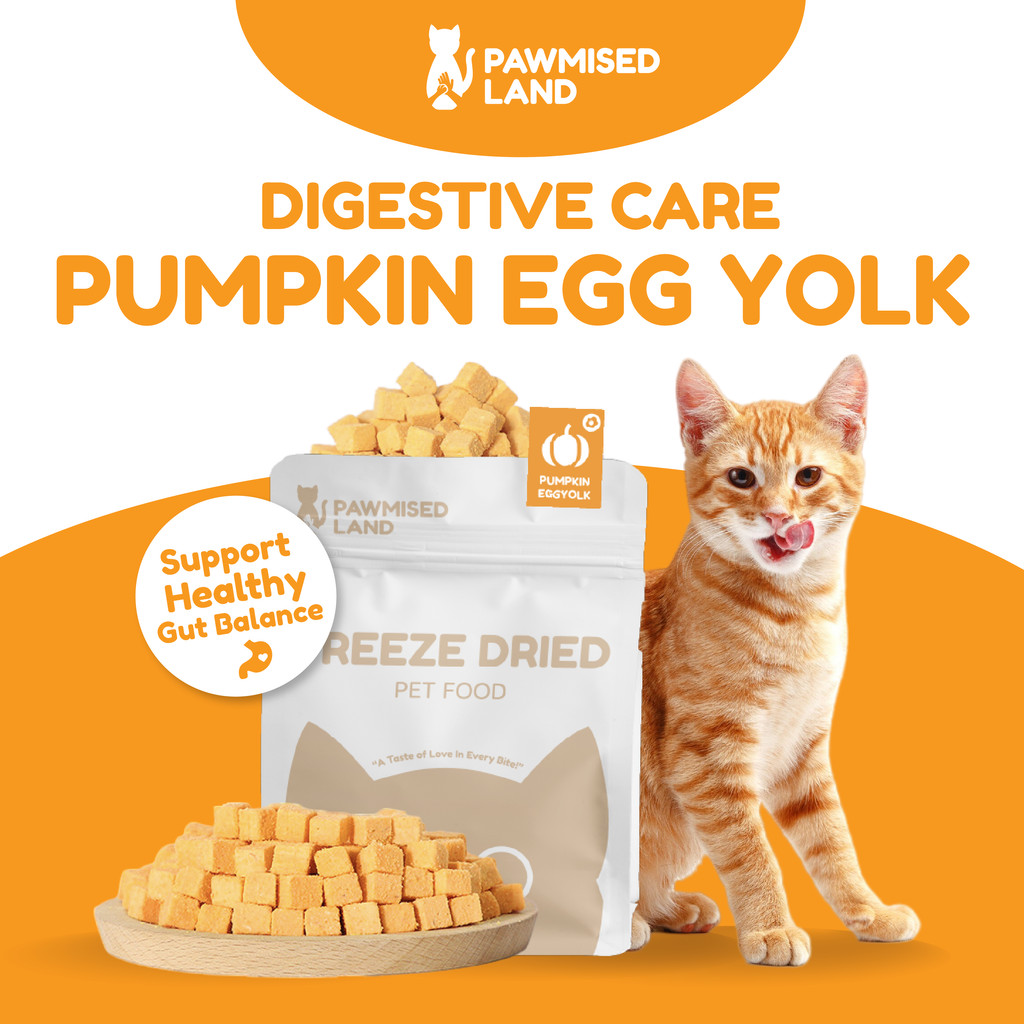 PawmisedLand Catty Munchies - Pumpkin Eggyolk - ซีรีย์ทํางาน - ฟรีซดราย 125g อาหารสัตว์เลี้ยง อาหารแ