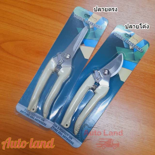 🔥พร้อมส่ง🔥กรรไกร กรรไกรตัดกิ่งไม้ กรรไกรอเนกประสงค์ 7 นิ้ว กรรไกรตัดไม้ สแตนเลส สีครีม ทนทาน ใช้งานสะดวก ราคา/ชิ้น