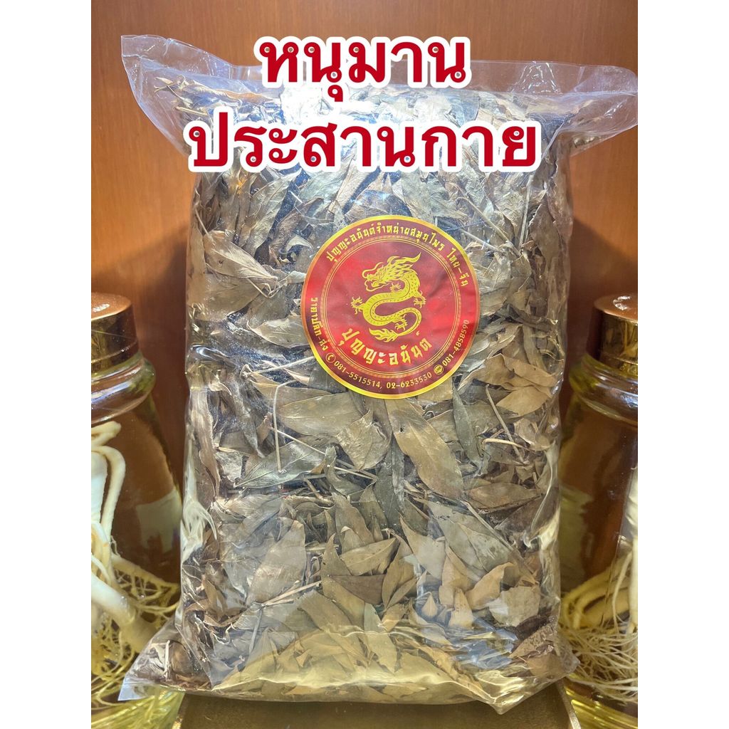 ใบหนุมานประสานกาย ใบหนุมารประสานกาย หนุมานประสานกาย หนุมารประสานกายบรรจุ250กรัมราคา230บาท
