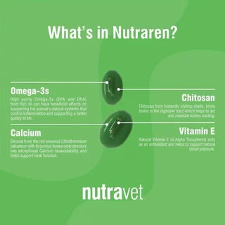 Nutravet [แท้💯] Nutramind / Nutraren / Nutracalm / Nutracys+ / Nutramarin+ / Nutraquin อาหารเสริมที่สัตวแพทย์แนะนำ 🇬🇧