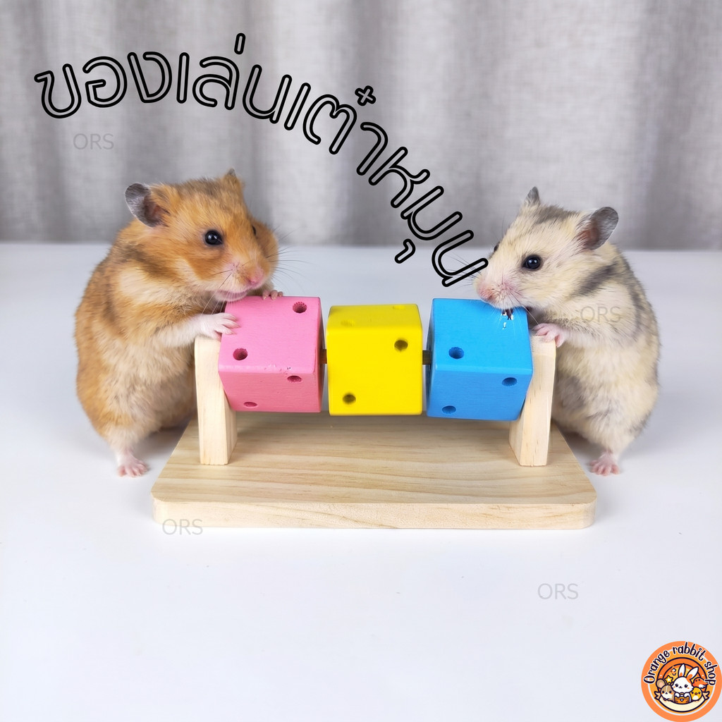 ORS ของเล่นไม้ลับฟันแฮมสเตอร์ ทรงลูกเต๋าหมุนได้ 🎲 สีพาสเทลน่ารัก เสริมพัฒนาการสัตว์เลี้ยง 🌈