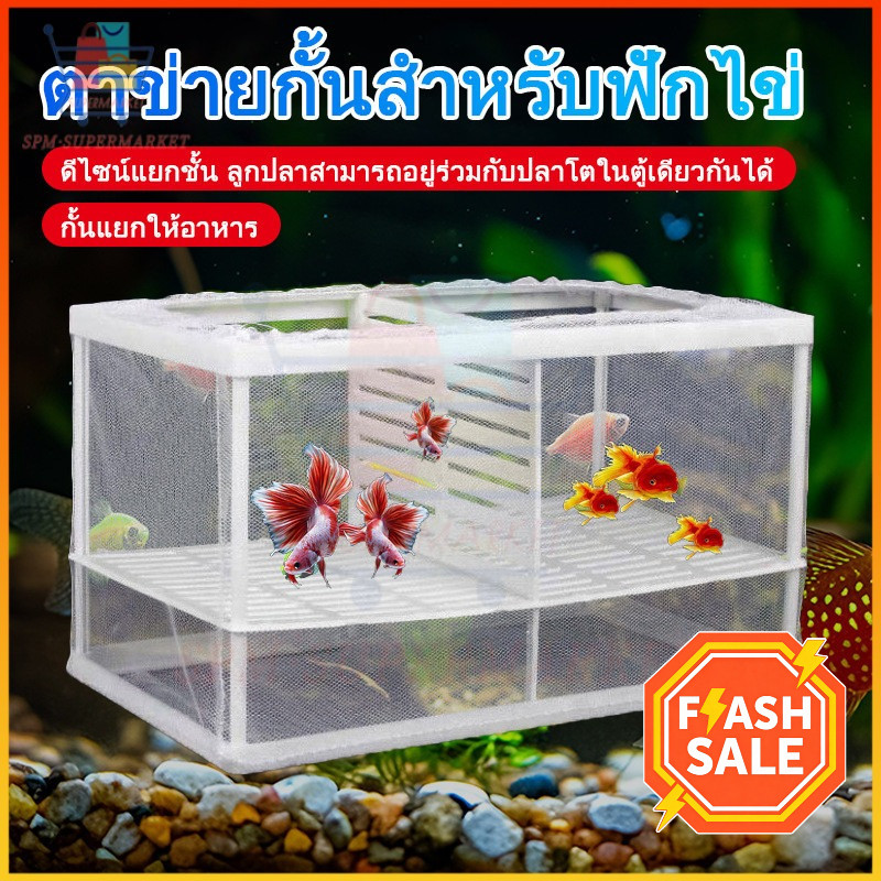 🐟ตาข่ายกั้นปลา ช่วยแยกลูกปลาจากพ่อแม่ ป้องกันการกิน ปากตาข่ายละเอียดทนทาน ดูง่าย ตาข่ายเพาะพันธุ์ปลา