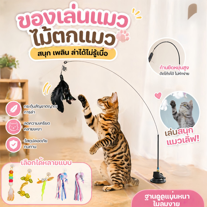 😻พร้อมส่ง 😻ของเล่นแมว ของเล่นล่อแมว ไม้ตกแมว ไม้แหย่แมว สําหรับแมว Cat toy ขนนก