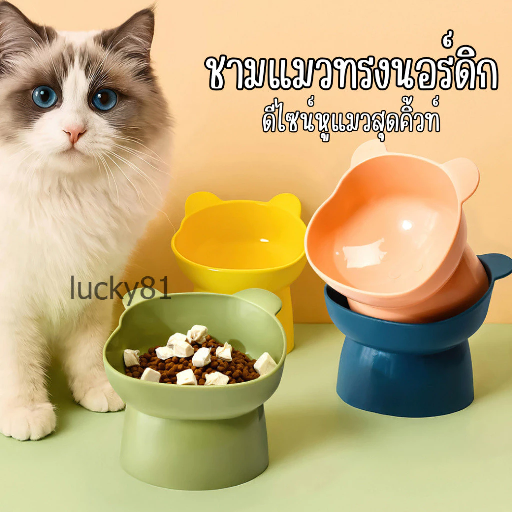 ชามอาหารแมวยกสูง ปากเอียง 15 องศา ถนอมคอสุนัขและแมว ดีไซน์หูแมวน่ารัก