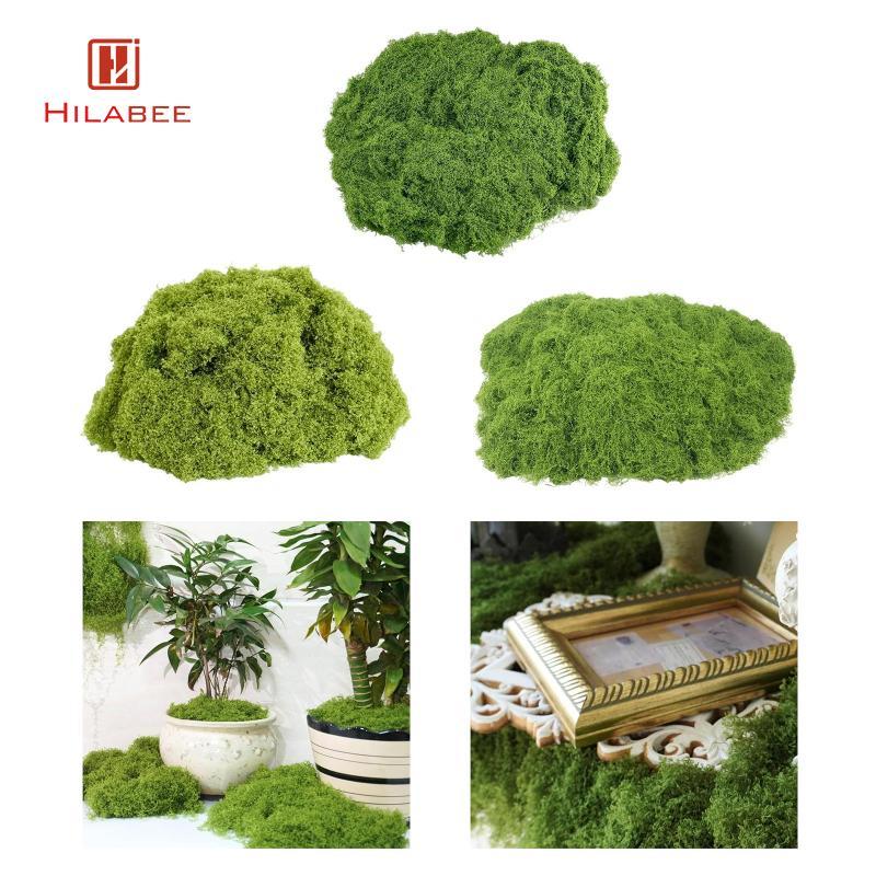 HILABEE 1 แพ็คจําลองประดิษฐ์ตกแต่งงานฝีมือปลอมสีเขียว Lichen พืชไนลอนสนามหญ้าสังเคราะห์เหมาะสําหรับพ