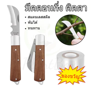 มีดพับตอนกิ่ง ติดตา ทาบกิ่ง ใบมีดคม ตัดได้ง่าย ปลายแหลม คม มีดพับตอนกิ่ง แต่งกิ่ง ด้ามไม้แท้