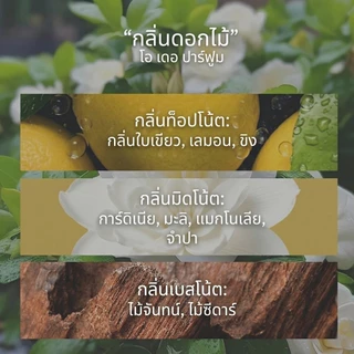 GAZIPOO 🌿Gardenia Fragrance Mist 20ml น้ำหอมกลิ่นดอกพุดซ้อน หอมหวาน สดชื่น แนว Floral พกพาสะดวก