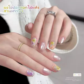 Miss Gooey ดอกไม้แห้งตกแต่งเล็บเจล ชุดดอกไม้ประดับเล็บหลายเฉดสี สวยละมุน ง่ายใช้ ทำเล็บDIYที่บ้าน ร้านทำเล็บมืออาชีพ