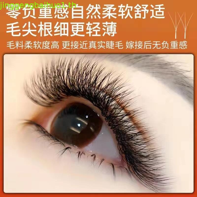 Root Super Soft Blossoming 3d Grafting y Eyelash Fairy Clover ผสม 0.03 แพ็คเดี่ยวเฉพาะขนตาหนา Shop B