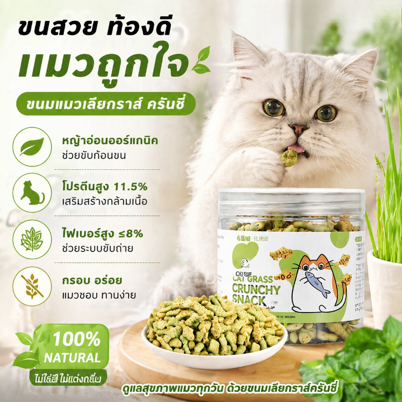 COD คุกกี้แมว คุกกี้แมวรสมิ้นท์ ช่วยขับก้อนขน สอบฟันและทำความสะอาด ฟัน ของเล่นเชื่อมสัมพันธ์ ขนมแช่แข็ง