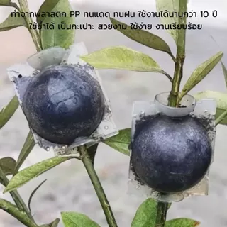 ตุ้มตอนพลาสติก แบบหนา มี 2ขนาด ขาวโปร่ง แข็งแรง ทนทาน ใช้ซ้ำได้ การออกแบบที่เน้นความสะดวกสบาย