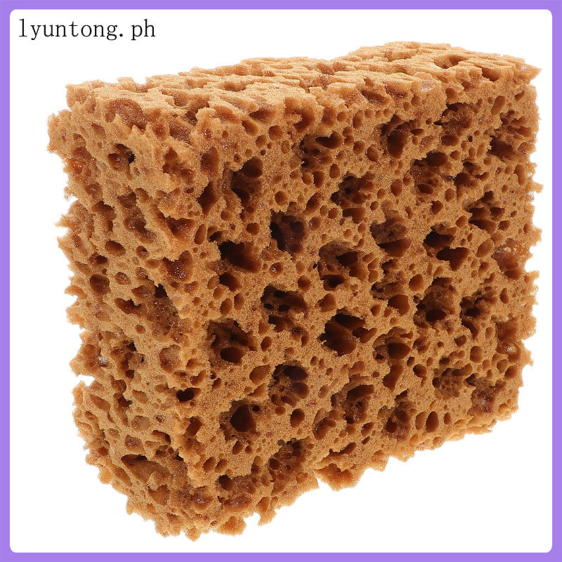 Body Paint Sponge Foaming Texture ภาพวาดฟองน้ําแปรง Craft Finger Daubers