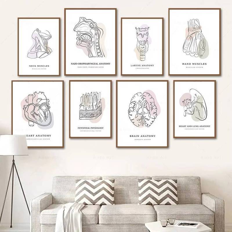Boho Colorful Anatomy Artwork Wall Art Poster Medical Education Canvas Painting Anatomy Print Pictur