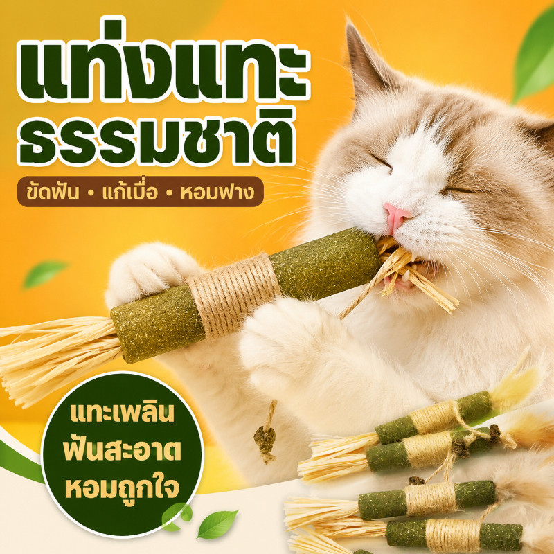 PawPals พร้อมส่ง(38cm)  อันใหญ่มาก ไม้มาทาทาบิ ขัดฟันไม้ ไม้ขัดฟันแมว ของเล่นแมว ก้านมาทาทาบิ ไม้แปรงฟันแมว
