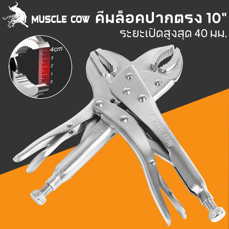MUSCLE COW คีมล็อคของแท้ ขนาด 10 นิ้ว สำหรับงานหนัก ความแข็งแรงสูง ทนความร้อนได้ ได้สบาย ปากคีมกาง 45 มม.