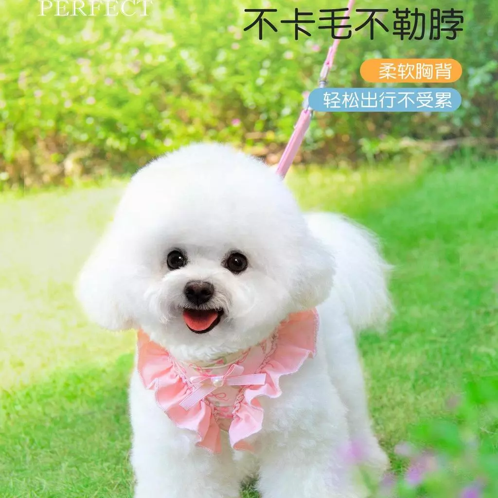 ชุดสายจูงสุนัข เสื้อผ้าสุนัขฤดูร้อน สำหรับสุนัขขนาดเล็ก thumbnail 3