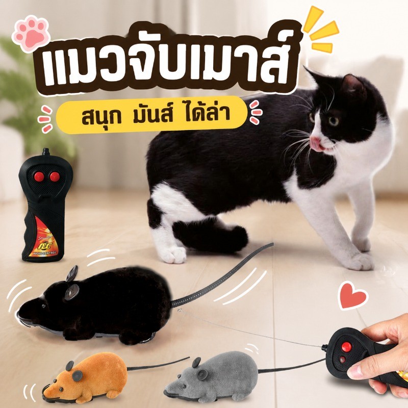 ของเล่นแมว 🐀 ของเล่นสัตว์เลี้ยง การควบคุมระยะไกล แมวจับเมาส์ สัตว์เลี้ยงของเล่นควบคุมระยะไกล ของเล่นหนู